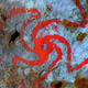 Digitally enhanced image of the Pinwheel painting.